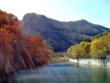 新澳门二四六天天彩，饶平seo建站